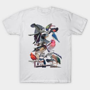 Birds T-Shirt